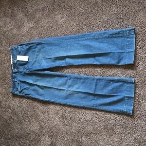 NEW Ann Taylor Loft Blue Curvy Trouser Denim Jeans 6